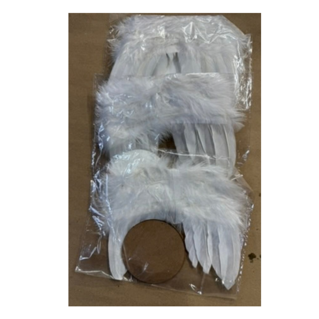 Sublimation Angel Wings
